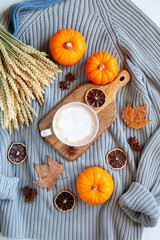 Autumn flatlay composition with warm sweater, hot drink and mini pumpkins