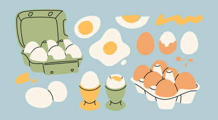 Fototapeta Chicken Eggs in carton boxes, boiled and fried eggs. Eggs with and without shell. Breakfast, organic farm food concept. Poultry production. Hand drawn Vector illustration. Isolated elements obraz