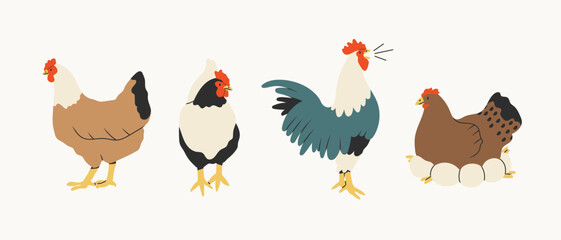 Domestic Chicken set. Different hens, rooster, eggs in nest. Various breed. Farm birds, Easter, organic eco food concept. Design elements. Cute farm animals. Hand drawn Vector illustration