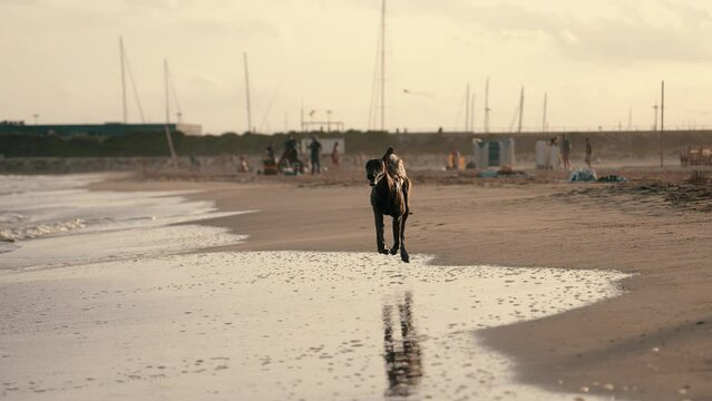 Perro corriendo a c&aacute;mara lenta en la playa durante la puesta de sol