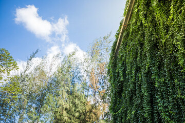 Picture of a barn cover in the tree.