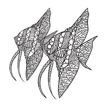 recommend clip art: Hand drawn angellfish ornament for coloring