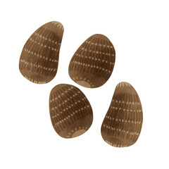 野菜　サトイモ手描きイラスト