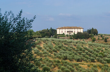 Panorama sulla Villa medicea La Ferdinanda, detta Villa dei cento camini, circondata dagli ulivi ad...