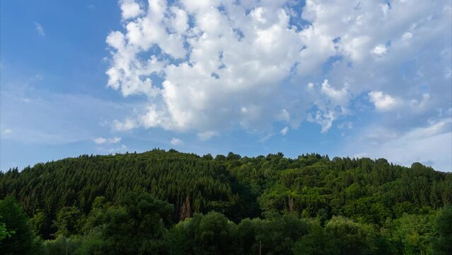 Forest and Summer Sky Timelapse.