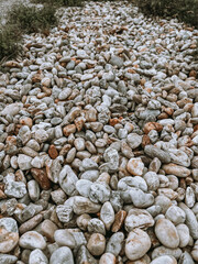 Pebbles and Stones on the Beach. Multicolored Small Rocks Viewed from a Side Angle. Textured...