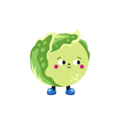 Cute cartoon iceberg lettuce illustration on a white background.