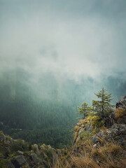 Scenery view to the misty valley from the top of the mountain. Haze clouds above the fir forest in carpathians ridge