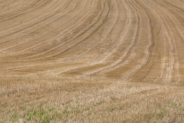 Texture from the Outdoors 