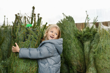 Small girl chooses a Christmas tree in the market.