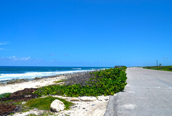 
Tropical beach panorama in the Caribbean