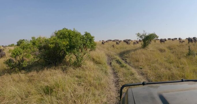 A 4x4 drives through the savannah in Kenya