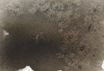 Watercolor background in brown shades. Watercolor background in an autumn palette. Autumn background. Brown dark spots and shapes, watercolor gradients, watercolor paper. 3392 x 2314 px 300 DPI