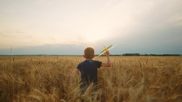 charming little boy with toy plane in hand is running on golden rye field, rear view against cloudy sky