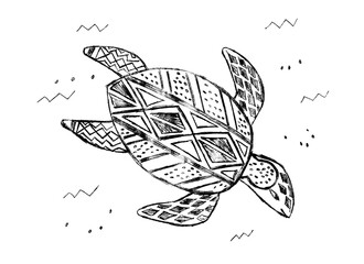 decorative black sea turtle on a white background