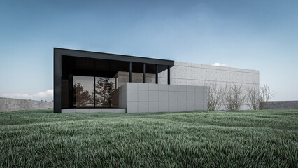 Fototapeta na wymiar Architectural 3D rendering illustration of modern minimal house with grass field