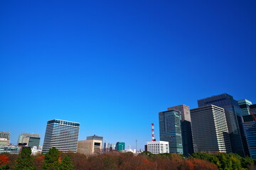 皇居から見た東京