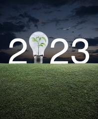 2023 white text and light bulb with small plant inside on green grass field over sunset sky with...