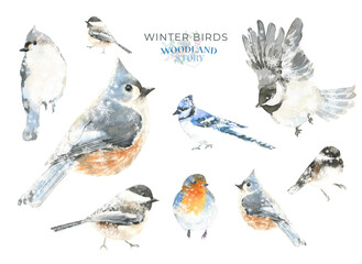 Watercolor squirrel,mouse,bird, Christmas illustration. Woodland winter forest nursery decoration for greeting card, poster, invitation, baby shower Merry Christmas,New Year print, sticker, diy