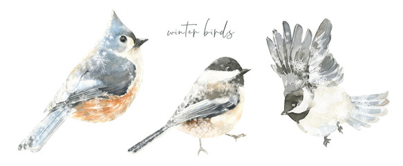 Watercolor squirrel,mouse,bird, Christmas illustration. Woodland winter forest nursery decoration for greeting card, poster, invitation, baby shower Merry Christmas,New Year print, sticker, diy