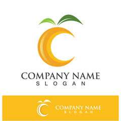 Orange logo and symbol vector icon