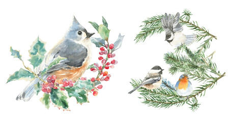 Watercolor squirrel,bird on fir tree branch Christmas illustration.Woodland winter forest nursery decoration for greeting card, poster, invitation, baby shower Merry Christmas,New Year print, sticker  © Catherine