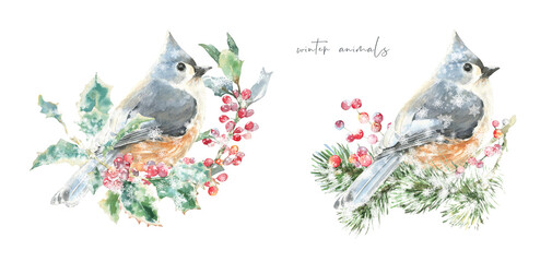 Watercolor squirrel,bird on fir tree branch Christmas illustration.Woodland winter forest nursery decoration for greeting card, poster, invitation, baby shower Merry Christmas,New Year print, sticker	