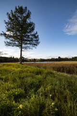 Tereny w pobliżu stawów hodowlanych (Karpniki,Polska)