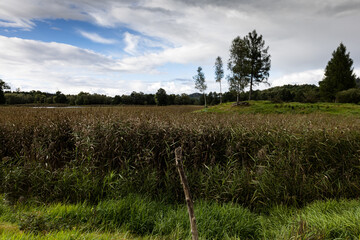 Obraz premium Tereny w pobliżu stawów hodowlanych (Karpniki,Polska)