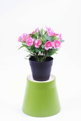 The artificial flower in the pot on white background