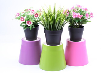 The artificial flower in the pot on white background