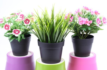 The artificial flower in the pot on white background
