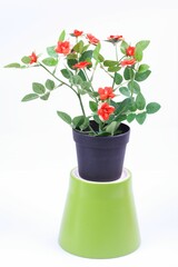 The artificial flower in the pot on white background
