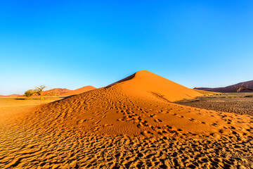 Dune 45 at Sossusvlei, Namibia, Africa
