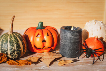 Halloween festive layout with Jack-O-Lantern, pumpkins, candle and spider on wooden table. Autumn holidays concept