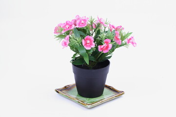 The artificial flower in the pot on white background