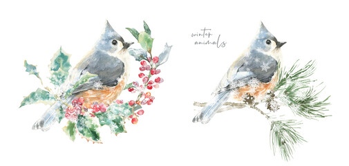 Watercolor squirrel,bird on fir tree branch Christmas illustration.Woodland winter forest nursery decoration for greeting card, poster, invitation, baby shower Merry Christmas,New Year print, sticker	