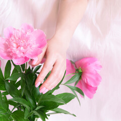 Obraz na płótnie Canvas Woman hands close up touching a pink peony on a white background.