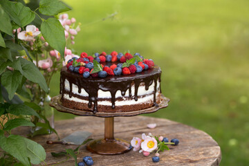 chocolate cake with fresh berries