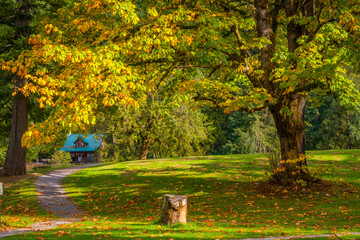 Amazing fall. The road in the autumn forest. Silver Lake Campground, Fall Time, North Cascades Region