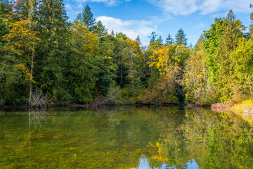 Fototapeta na wymiar Autumn forest on the riverside, marvel at amazing views of the Silver Lake. Silver Lake Campground, Fall Time, North Cascades Region