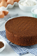 freshly baked chocolate sponge cake