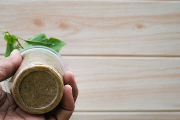 A man holding a bougainvillea tree in the pot