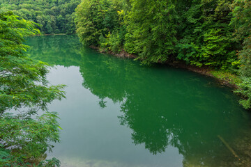 Emerald Lake surrounded by beech trees, Szczecin, West Pomeranian Voivodeship, Poland, Central Europe