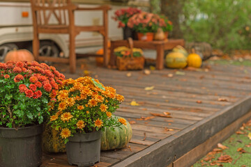 Autumn pumpkins at garden, decor and design for home, ideas for pretty home view