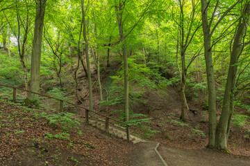 The path leading upstairs to go for a walk around the Emerald Lake, Szczecin, West Pomeranian Voivodeship, Poland, Central Europe