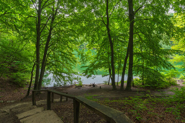 The road leading downstairs to the resting place at Emerald Lake, Szczecin, West Pomeranian...