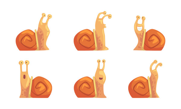Funny snail emotions set. Brown helix curious, surprised, confused facial expression cartoon vector illustration