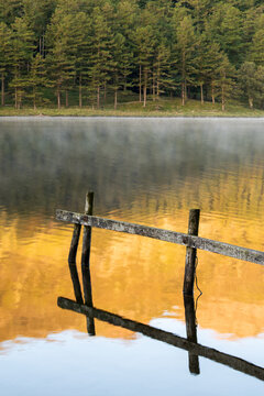 Wooden fence posts reflections in calm misty water with Pine forest in background. Buttermere, Lake District, UK. British countryside nature backgrounds.