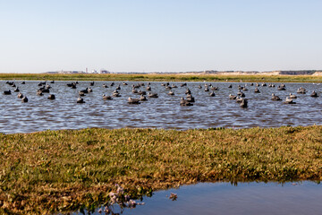 Fort Mahon Plage, France, Normandie